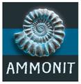 Ammonit Spiele